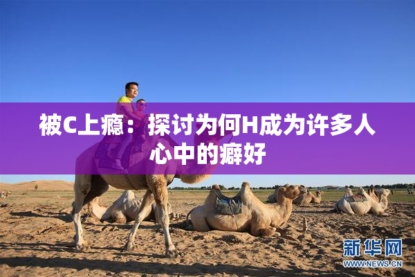 被C上瘾：探讨为何H成为许多人心中的癖好
