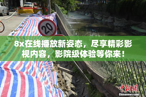 8x在线播放新姿态，尽享精彩影视内容，影院级体验等你来！