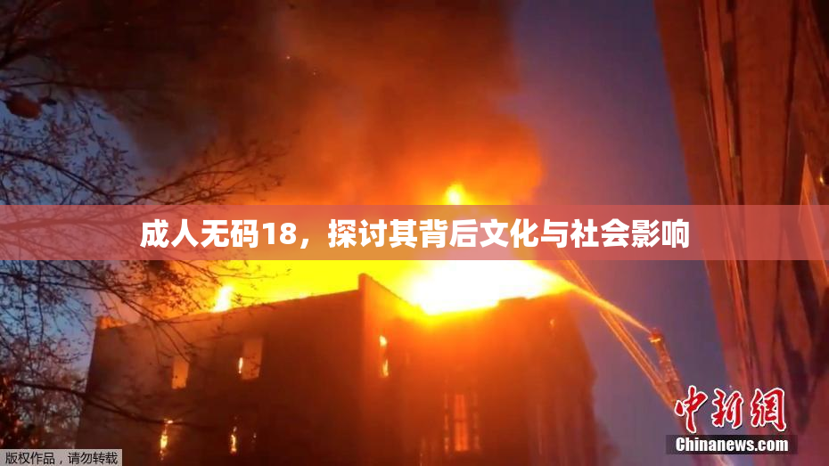 成人无码18，探讨其背后文化与社会影响