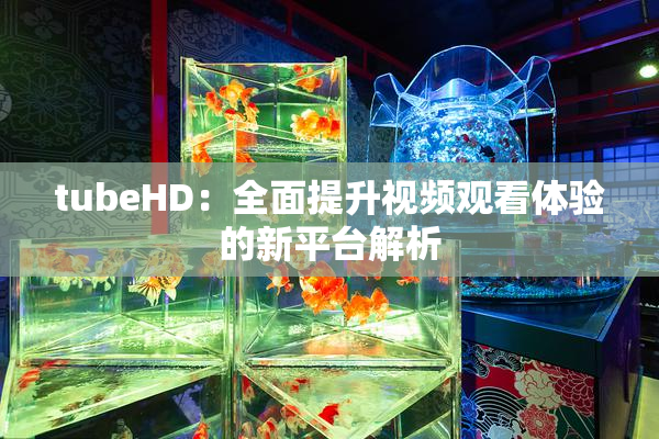 tubeHD：全面提升视频观看体验的新平台解析