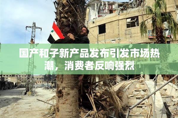 国产和子新产品发布引发市场热潮，消费者反响强烈