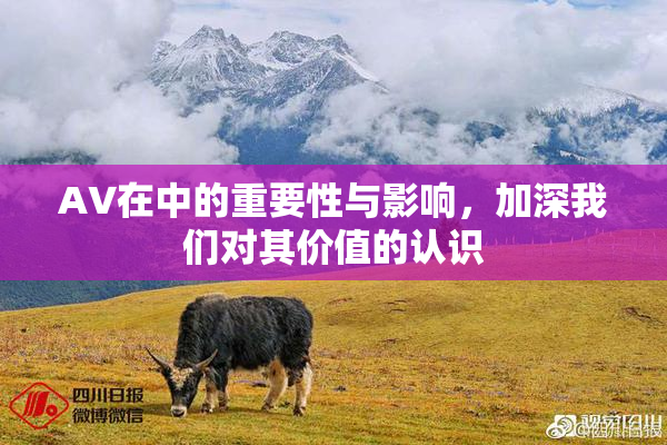 AV在中的重要性与影响，加深我们对其价值的认识