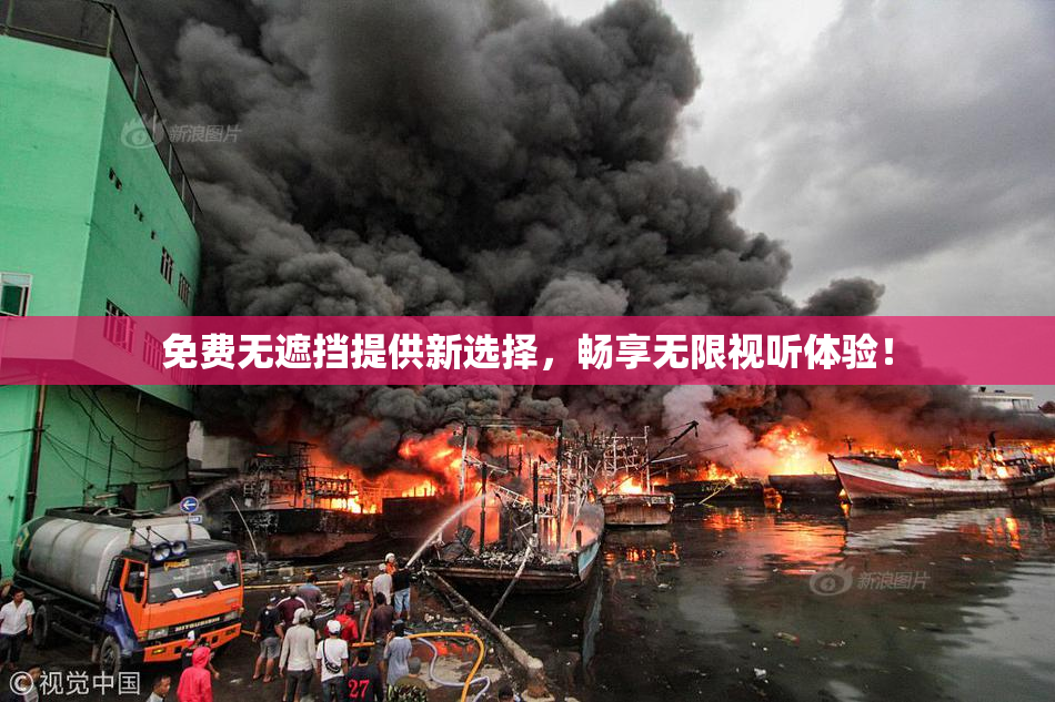 免费无遮挡提供新选择，畅享无限视听体验！