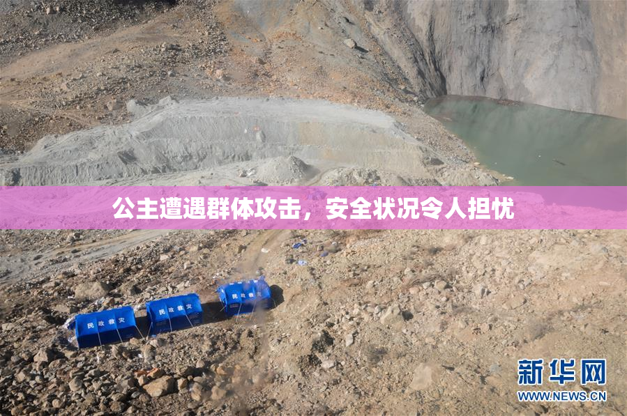 公主遭遇群体攻击，安全状况令人担忧