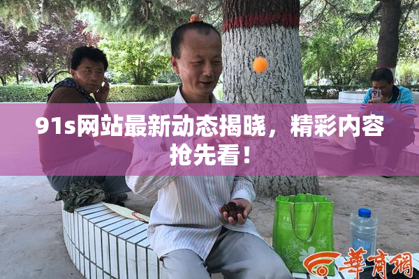 91s网站最新动态揭晓，精彩内容抢先看！