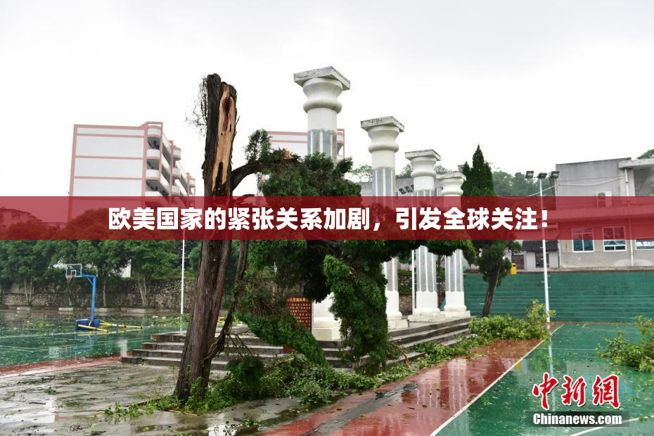 欧美国家的紧张关系加剧，引发全球关注！