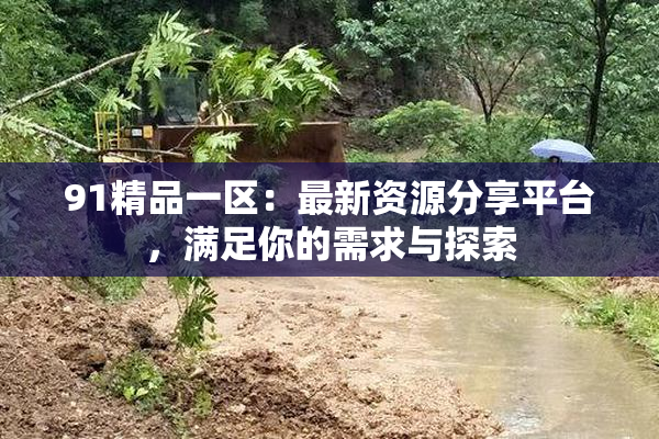 91精品一区：最新资源分享平台，满足你的需求与探索