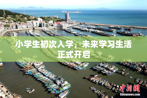 小学生初次入学，未来学习生活正式开启