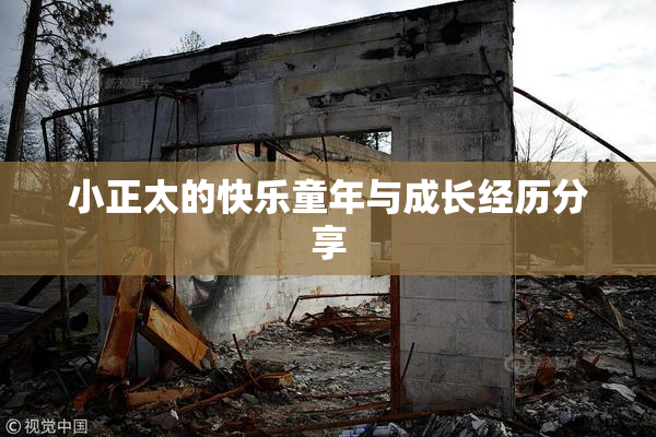 小正太的快乐童年与成长经历分享