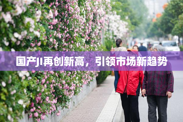 国产JI再创新高，引领市场新趋势