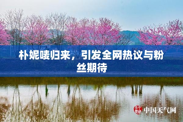 朴妮唛归来，引发全网热议与粉丝期待
