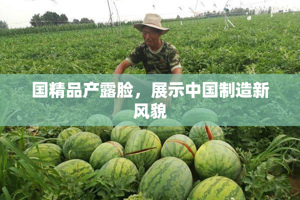 国精品产露脸，展示中国制造新风貌