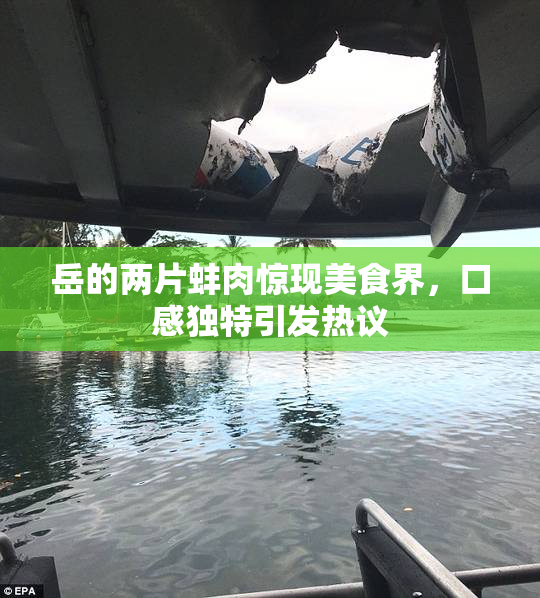 岳的两片蚌肉惊现美食界，口感独特引发热议