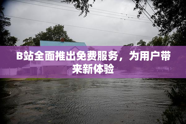 B站全面推出免费服务，为用户带来新体验