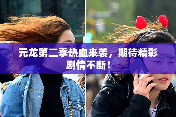 元龙第二季热血来袭，期待精彩剧情不断！