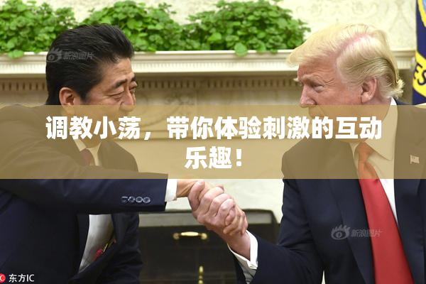调教小荡，带你体验刺激的互动乐趣！