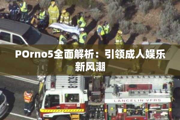 POrno5全面解析：引领成人娱乐新风潮