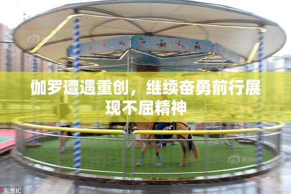 伽罗遭遇重创，继续奋勇前行展现不屈精神