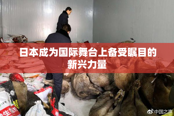 日本成为国际舞台上备受瞩目的新兴力量