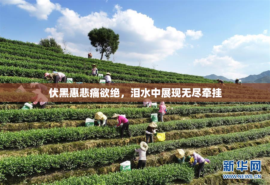 伏黑惠悲痛欲绝，泪水中展现无尽牵挂