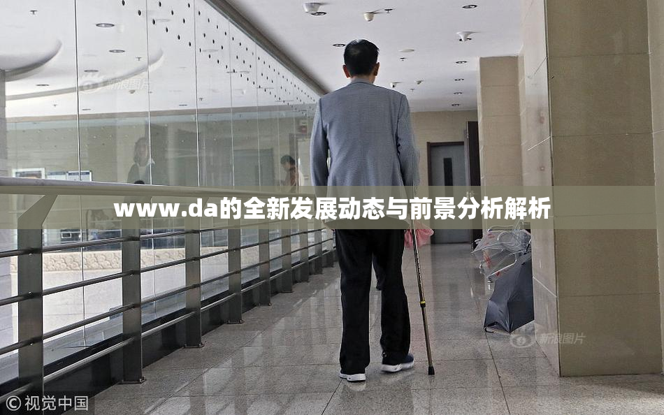 www.da的全新发展动态与前景分析解析