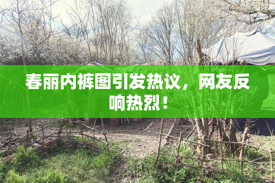 春丽内裤图引发热议，网友反响热烈！