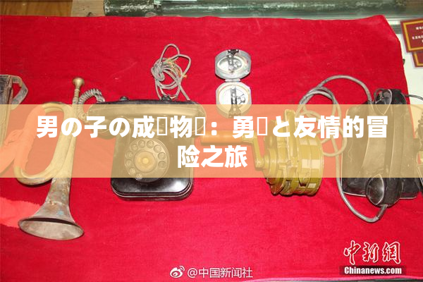男の子の成長物語：勇気と友情的冒险之旅