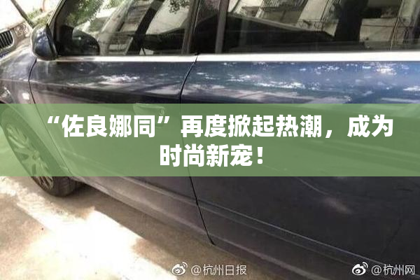“佐良娜同”再度掀起热潮，成为时尚新宠！