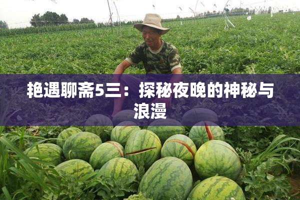 艳遇聊斋5三：探秘夜晚的神秘与浪漫