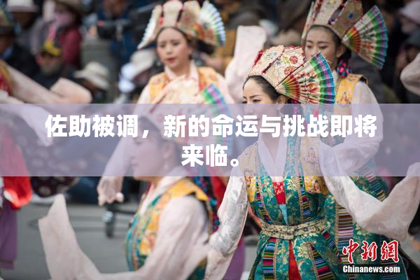 佐助被调，新的命运与挑战即将来临。