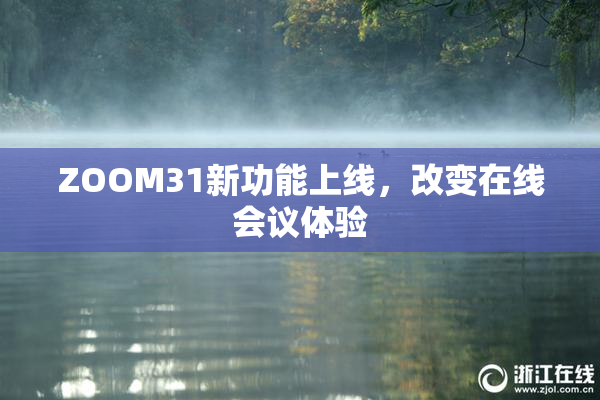 ZOOM31新功能上线，改变在线会议体验