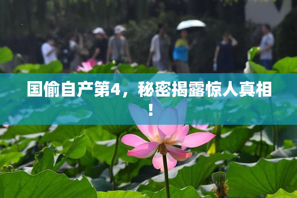 国偷自产第4，秘密揭露惊人真相！