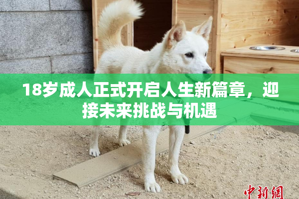 18岁成人正式开启人生新篇章，迎接未来挑战与机遇