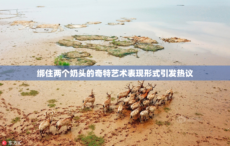 绑住两个奶头的奇特艺术表现形式引发热议