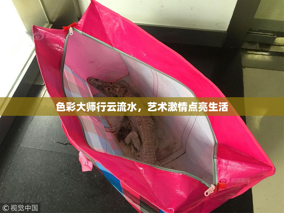 色彩大师行云流水，艺术激情点亮生活