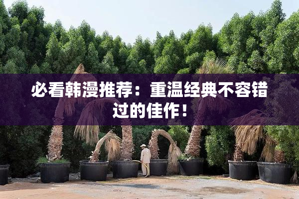 必看韩漫推荐：重温经典不容错过的佳作！