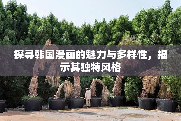探寻韩国漫画的魅力与多样性，揭示其独特风格