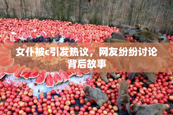 女仆被c引发热议，网友纷纷讨论背后故事