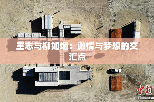 王志与柳如烟：激情与梦想的交汇点