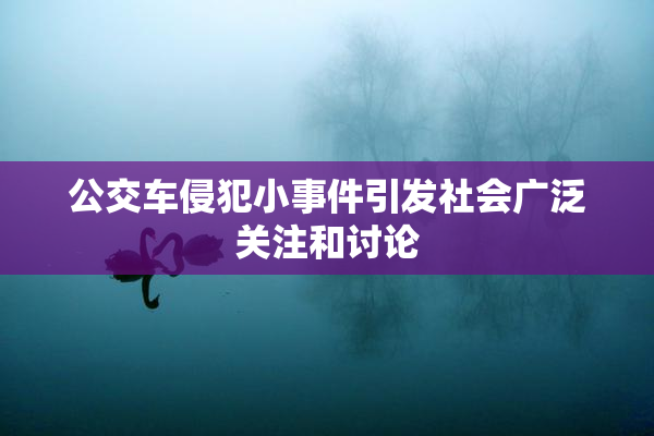公交车侵犯小事件引发社会广泛关注和讨论