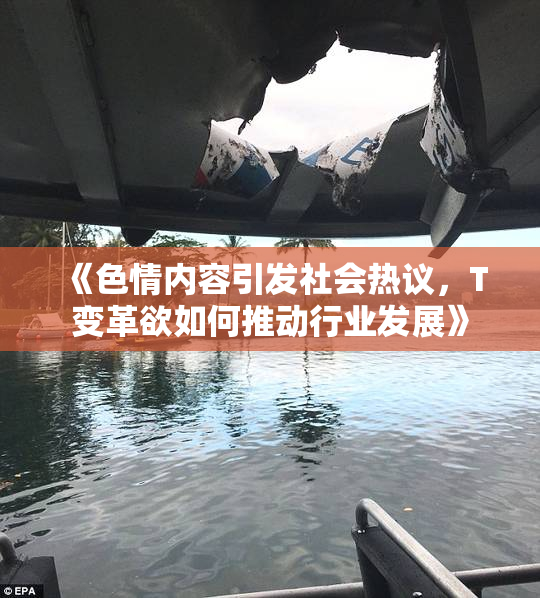 《色情内容引发社会热议，T变革欲如何推动行业发展》