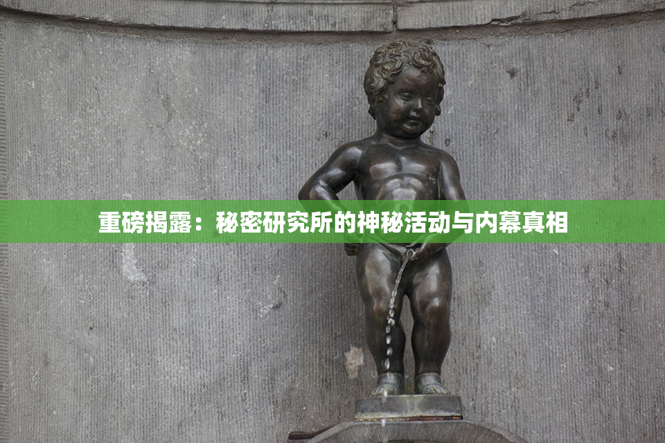 重磅揭露：秘密研究所的神秘活动与内幕真相