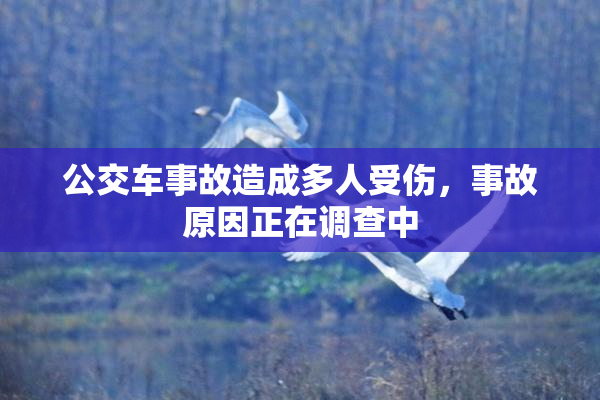 公交车事故造成多人受伤，事故原因正在调查中