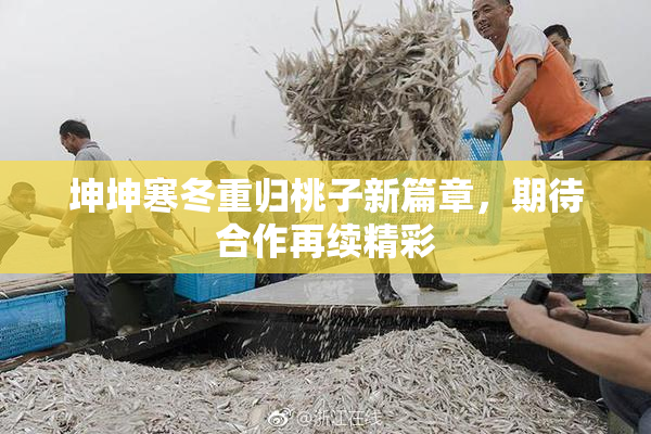 坤坤寒冬重归桃子新篇章，期待合作再续精彩