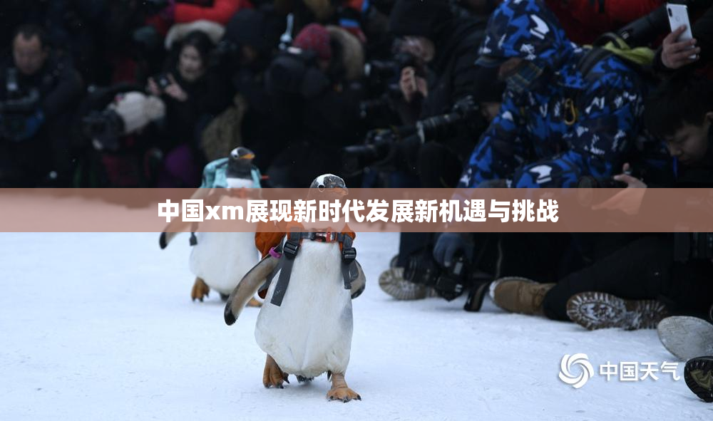 中国xm展现新时代发展新机遇与挑战