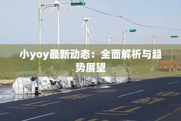 小yoy最新动态：全面解析与趋势展望