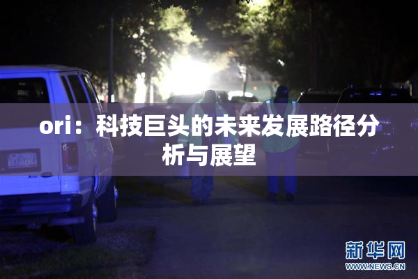 ori：科技巨头的未来发展路径分析与展望