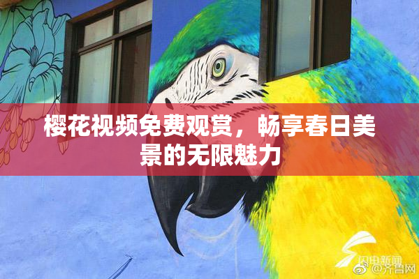 樱花视频免费观赏，畅享春日美景的无限魅力