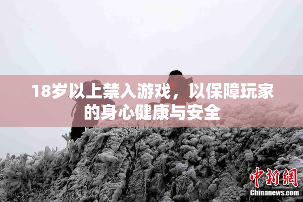 18岁以上禁入游戏，以保障玩家的身心健康与安全
