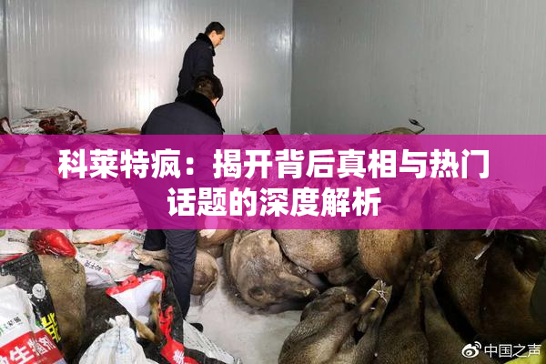 科莱特疯：揭开背后真相与热门话题的深度解析